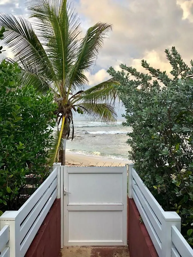 Appartement Au Bord de Mer Le Moule 0*,